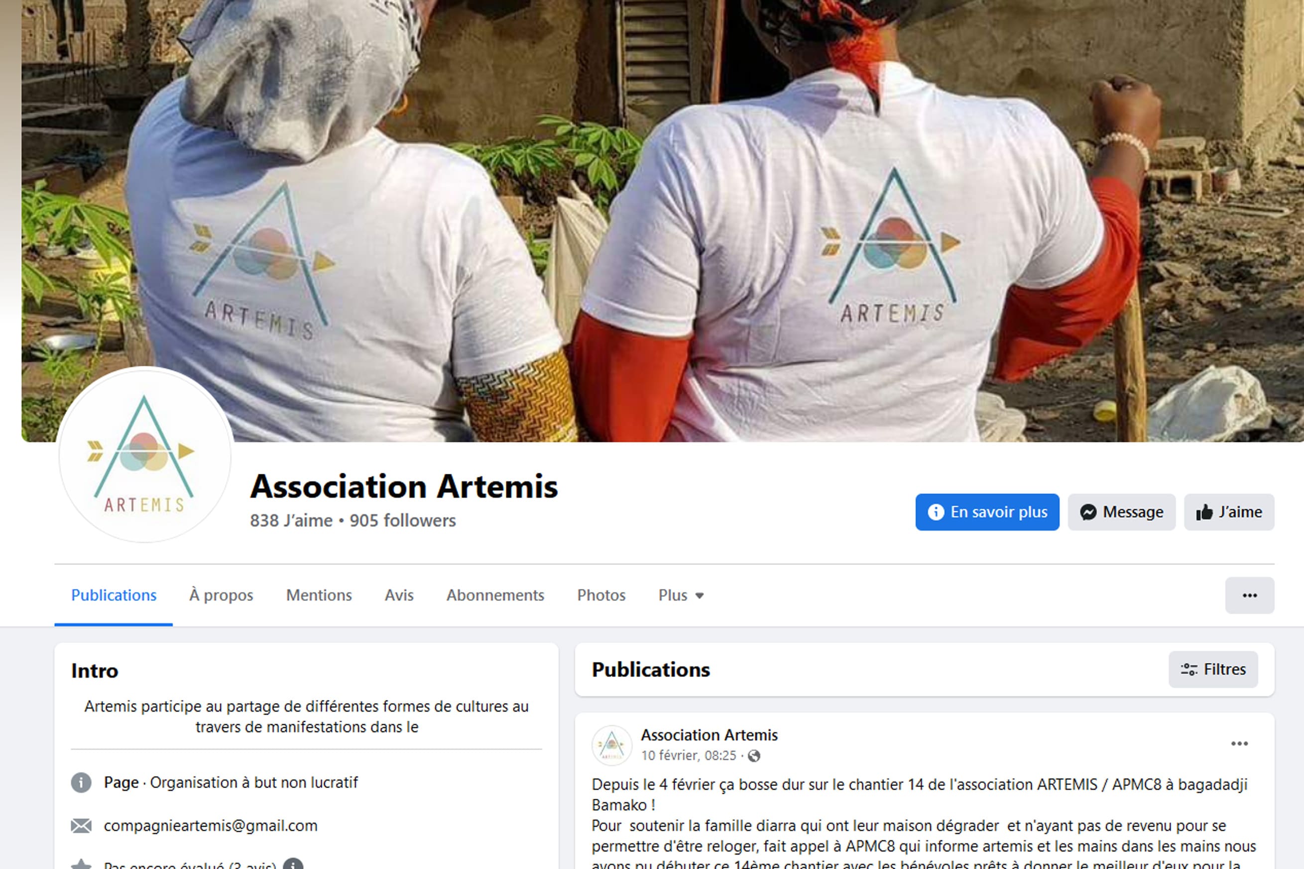 Association Artemis